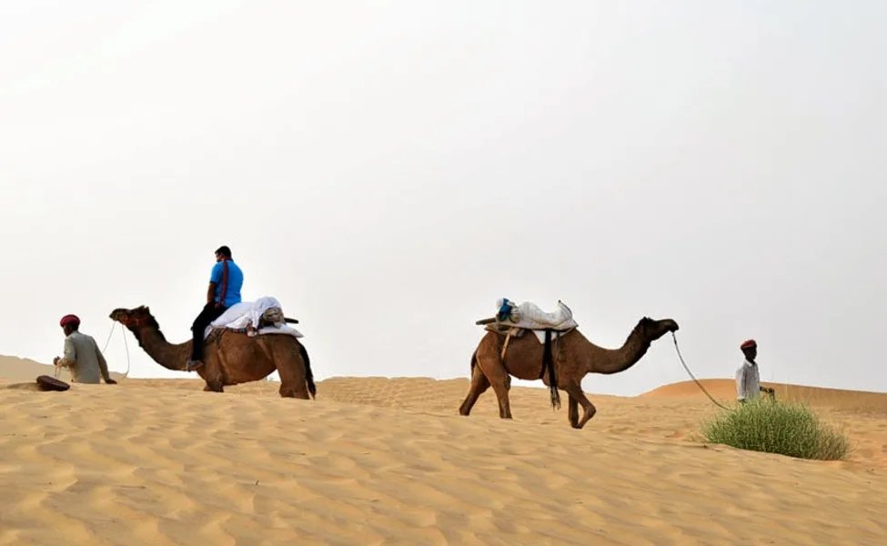 Camel Safari At Osian In Rajasthan