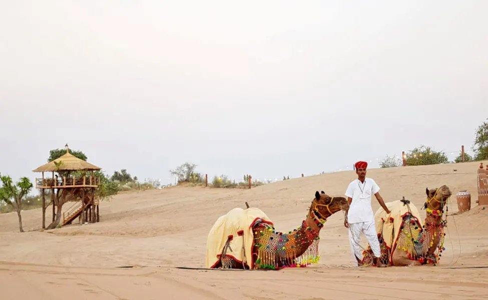 Camel Safari At Osian In Rajasthan