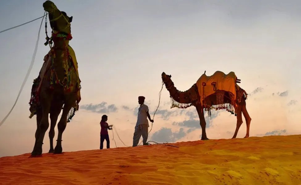 Camel Safari At Osian In Rajasthan