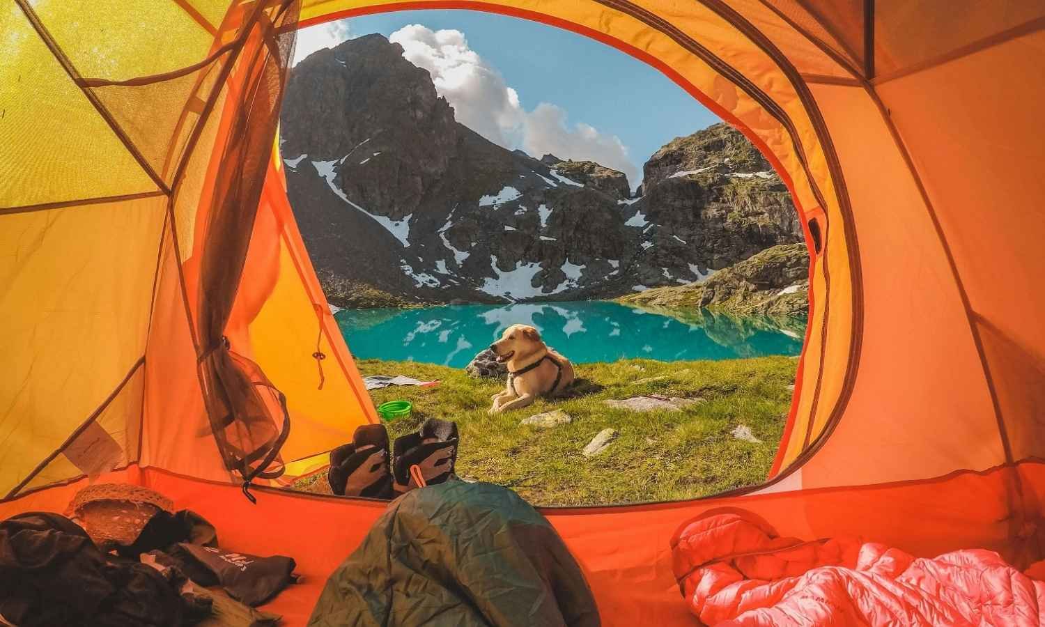 Mount Abu Camping Tour