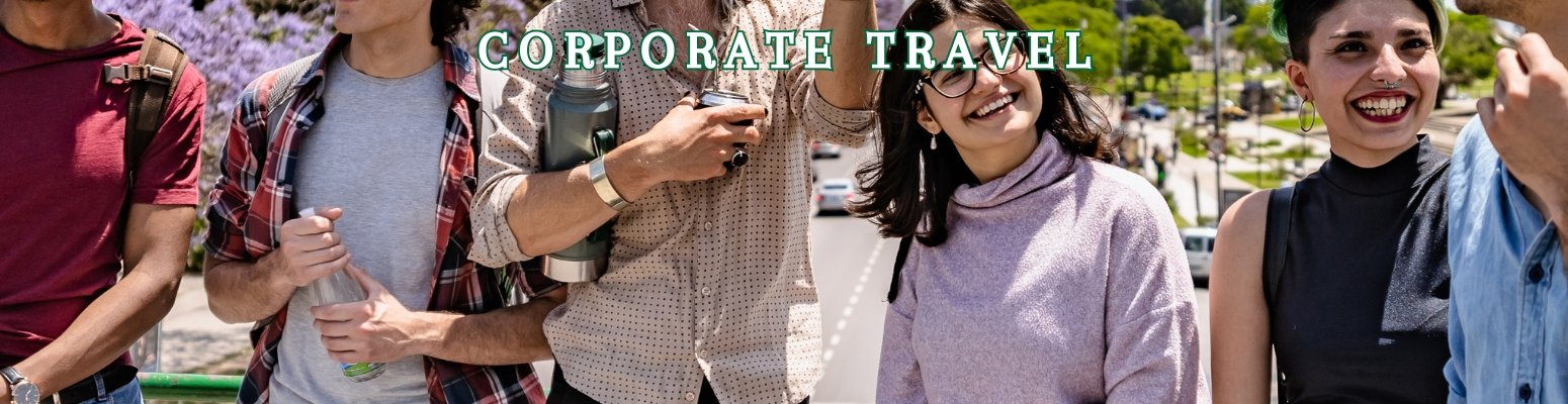 Professional travel solutions for businesses