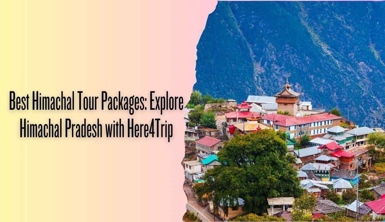 himachal tour package banner