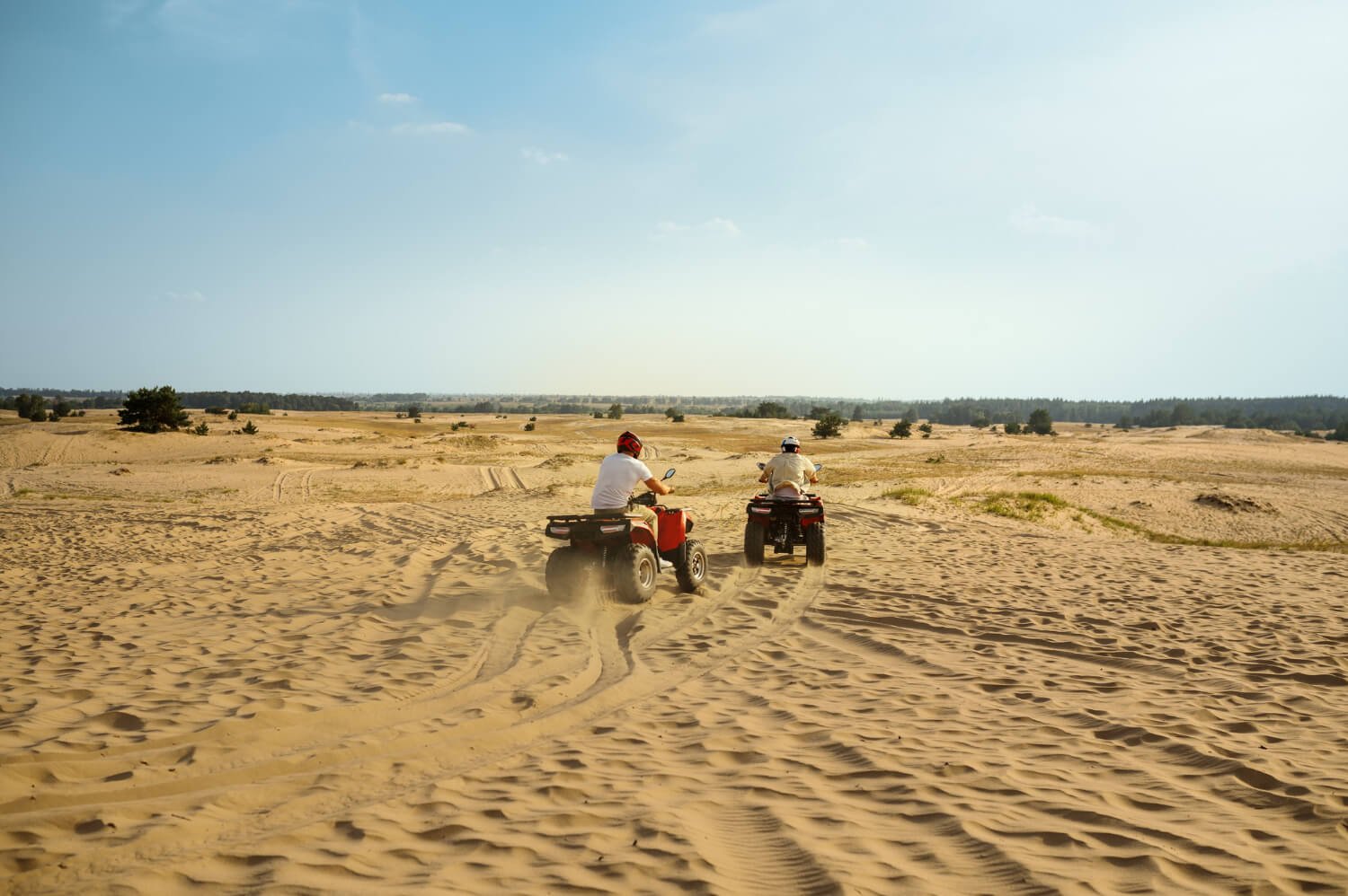 ROYAL RAJASTHAN TOUR ( 8 N / 9 D) 