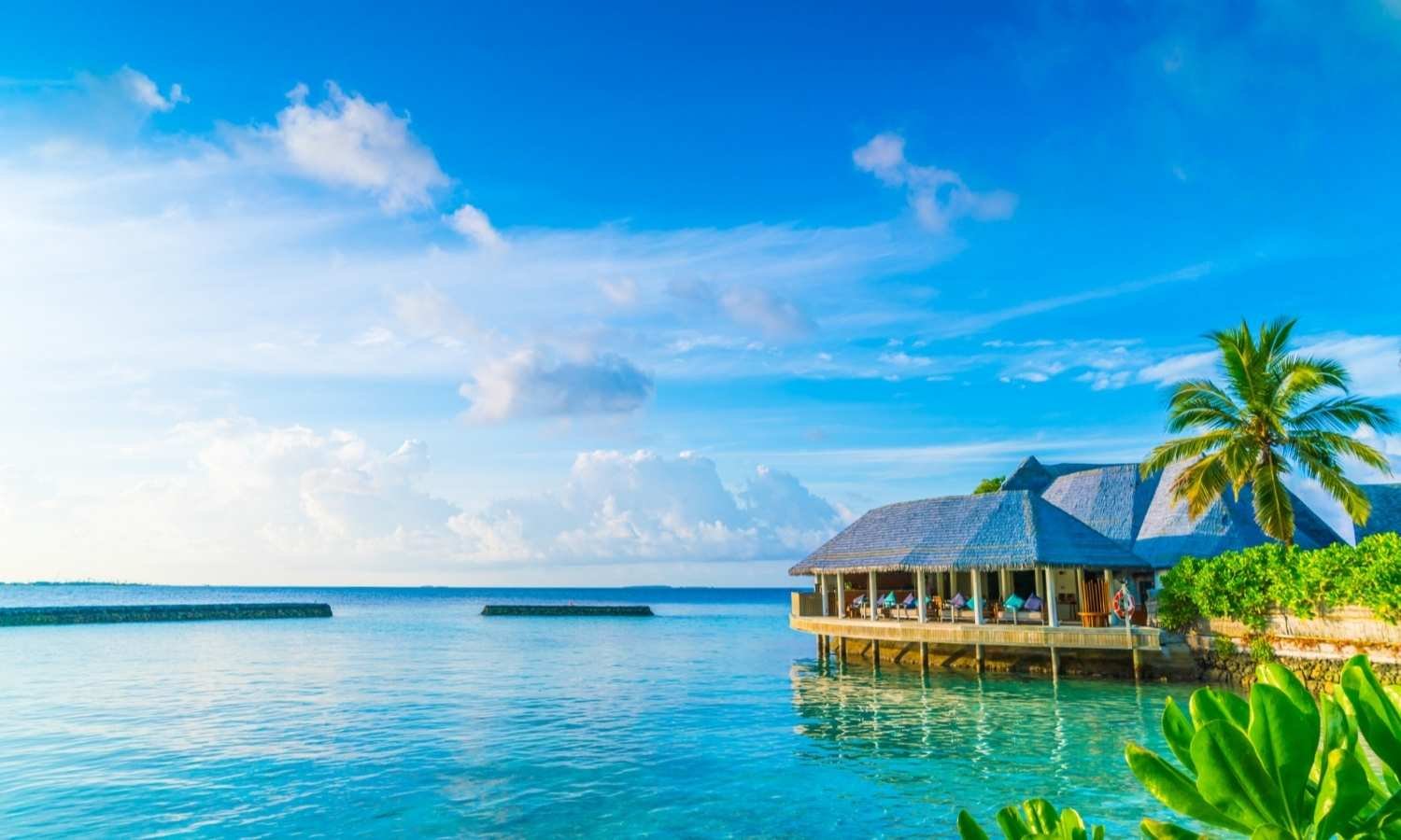 1N 2D Kerala Houseboat Tour Package