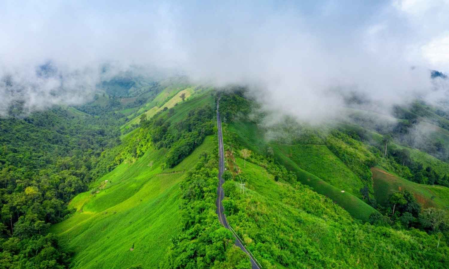 7N 8D Kerala Tour with Munnar Thekkady Alleppey Kovalam
