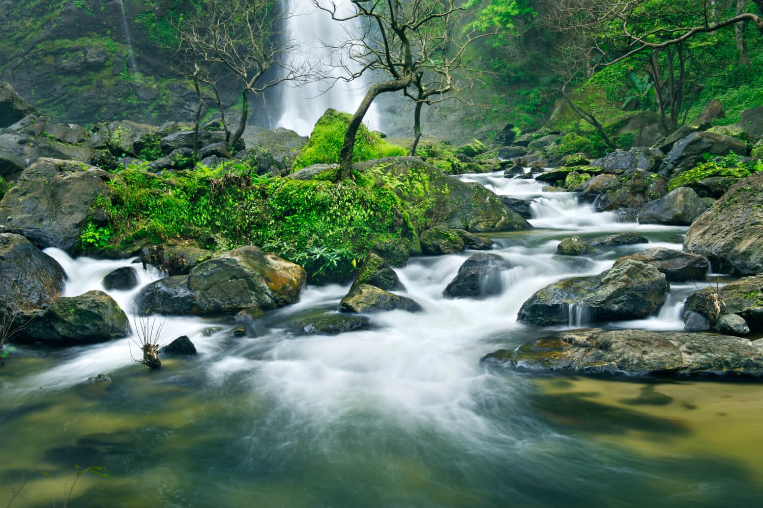 9N 10D Kerala Tour with Munnar Varkala Alleppey Marari Fort Kochi