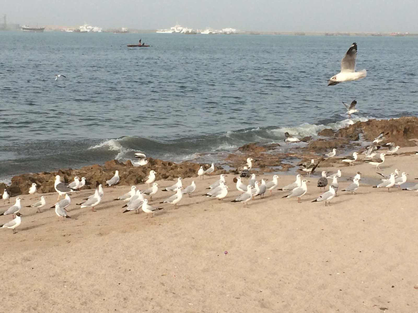 5N 6D Enchanting Gujarat Tour