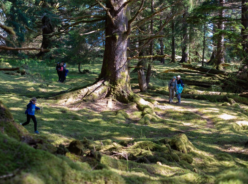 8N 9D Incredible Himachal Tour