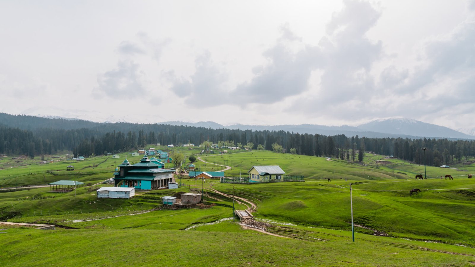 9N 10D Exotic Kashmir Tour