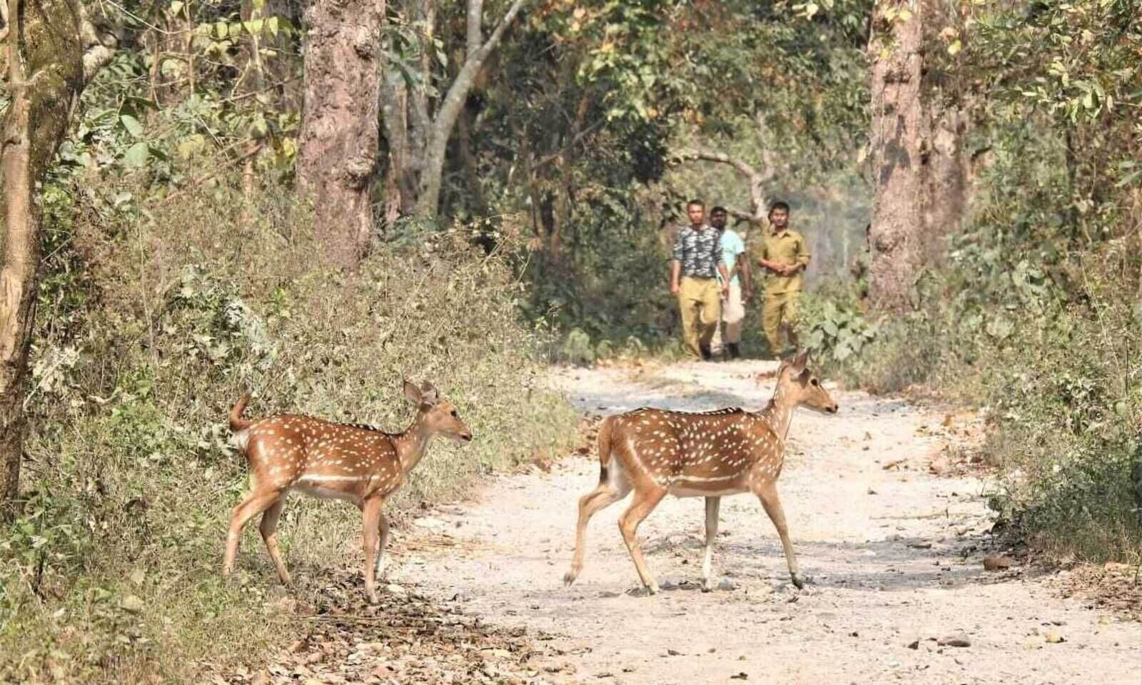 6N 7D Jewels of Madhya Pradesh Tour