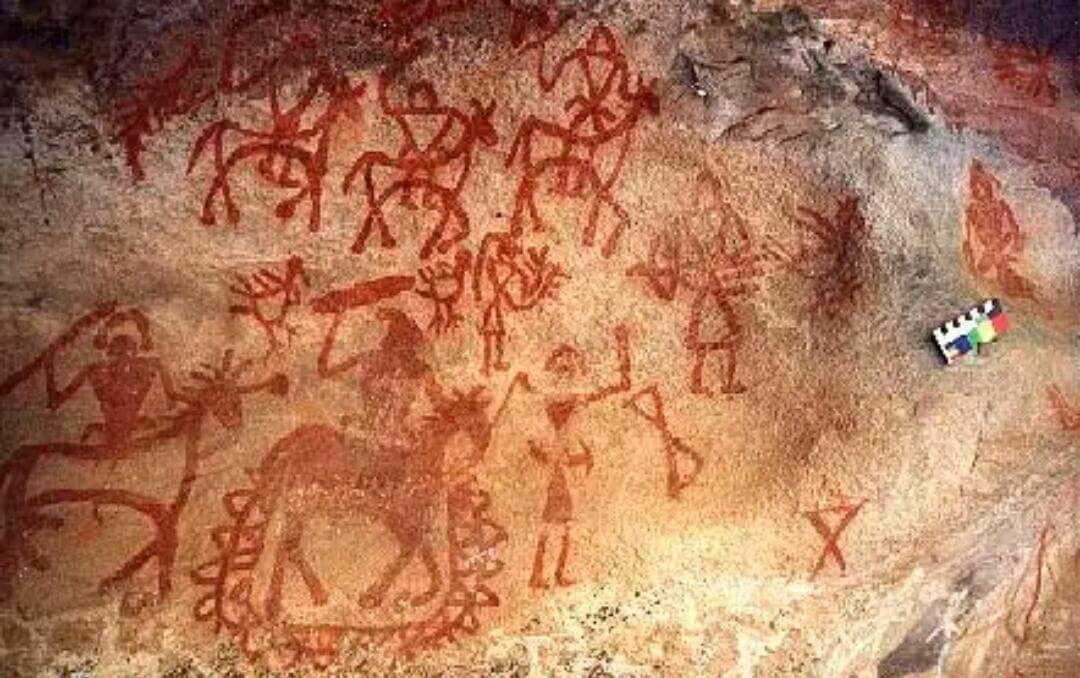 9N 10D Madhya Pradesh Wildlife Heritage Tour