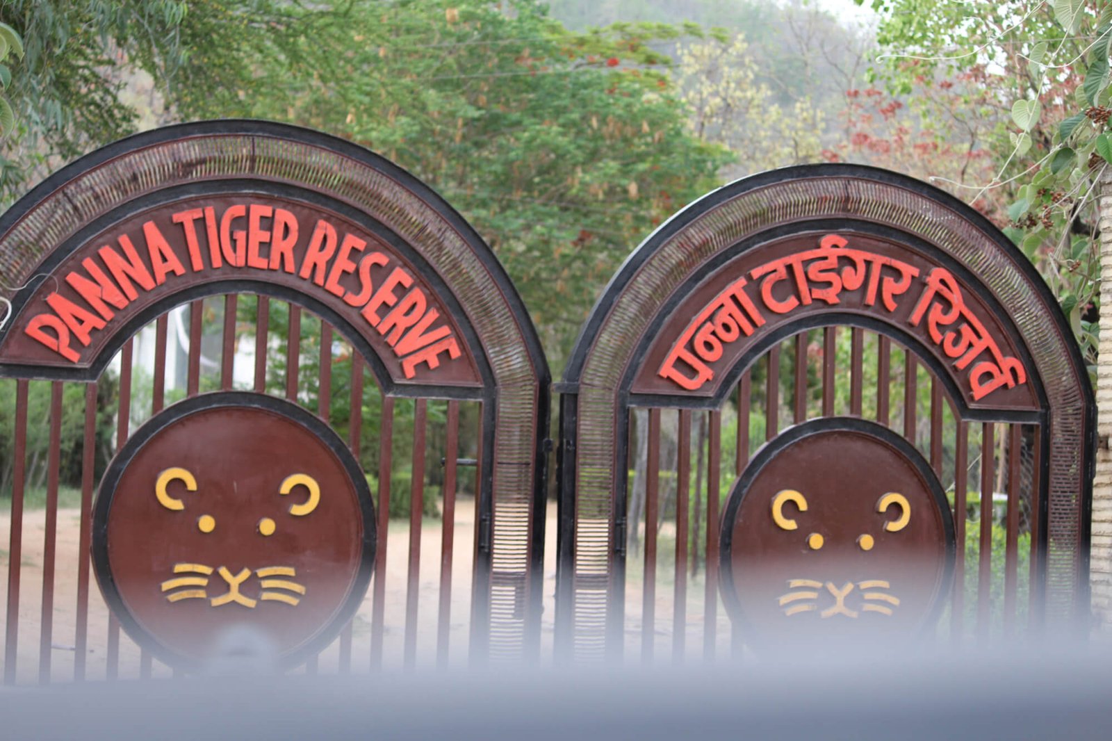 9N 10D Madhya Pradesh Wildlife Heritage Tour