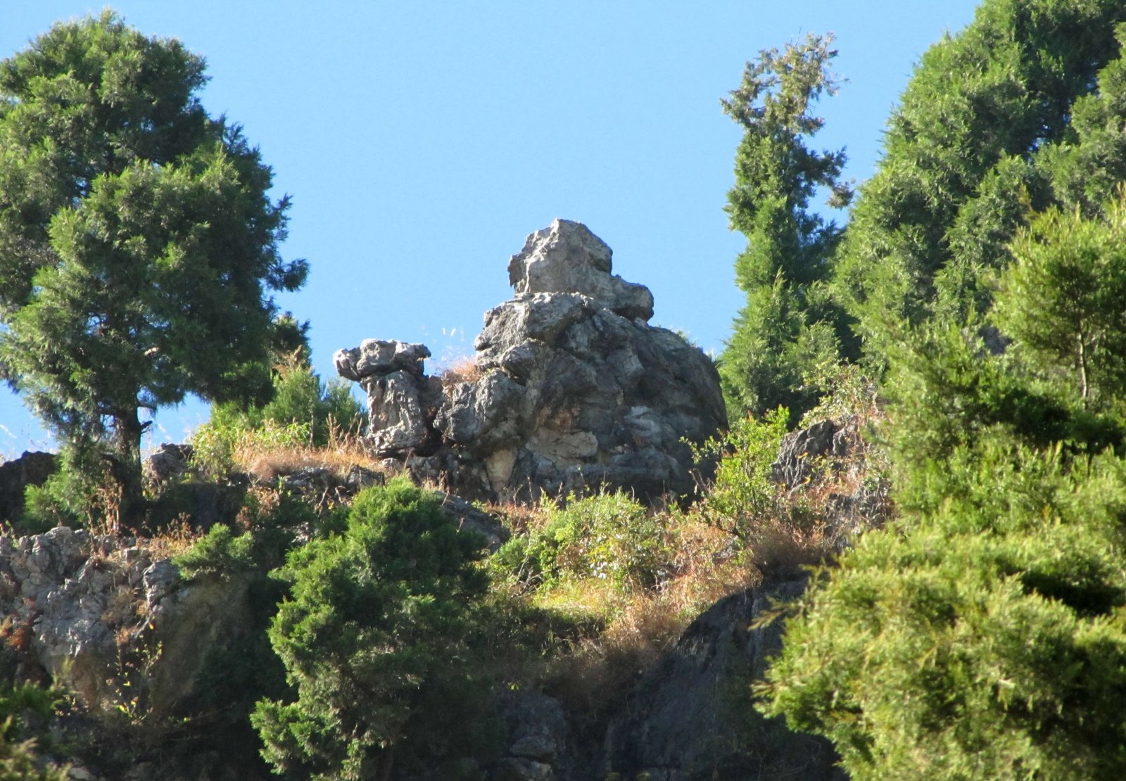 2N 3D Refreshing Mussoorie Tour