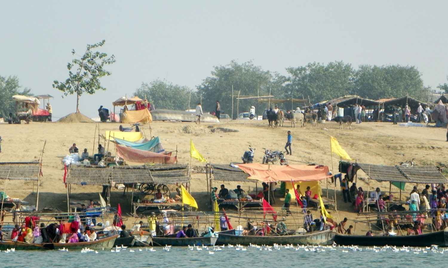 8N 9D Heritage Uttar Pradesh Family Tour