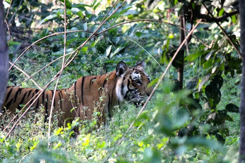 4N 5D Magical Uttarakhand Tour