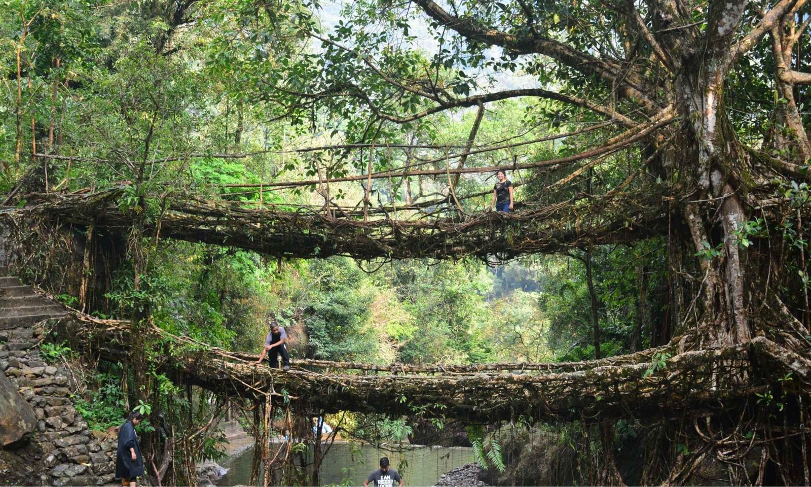 3N 4D Magical North East Tour