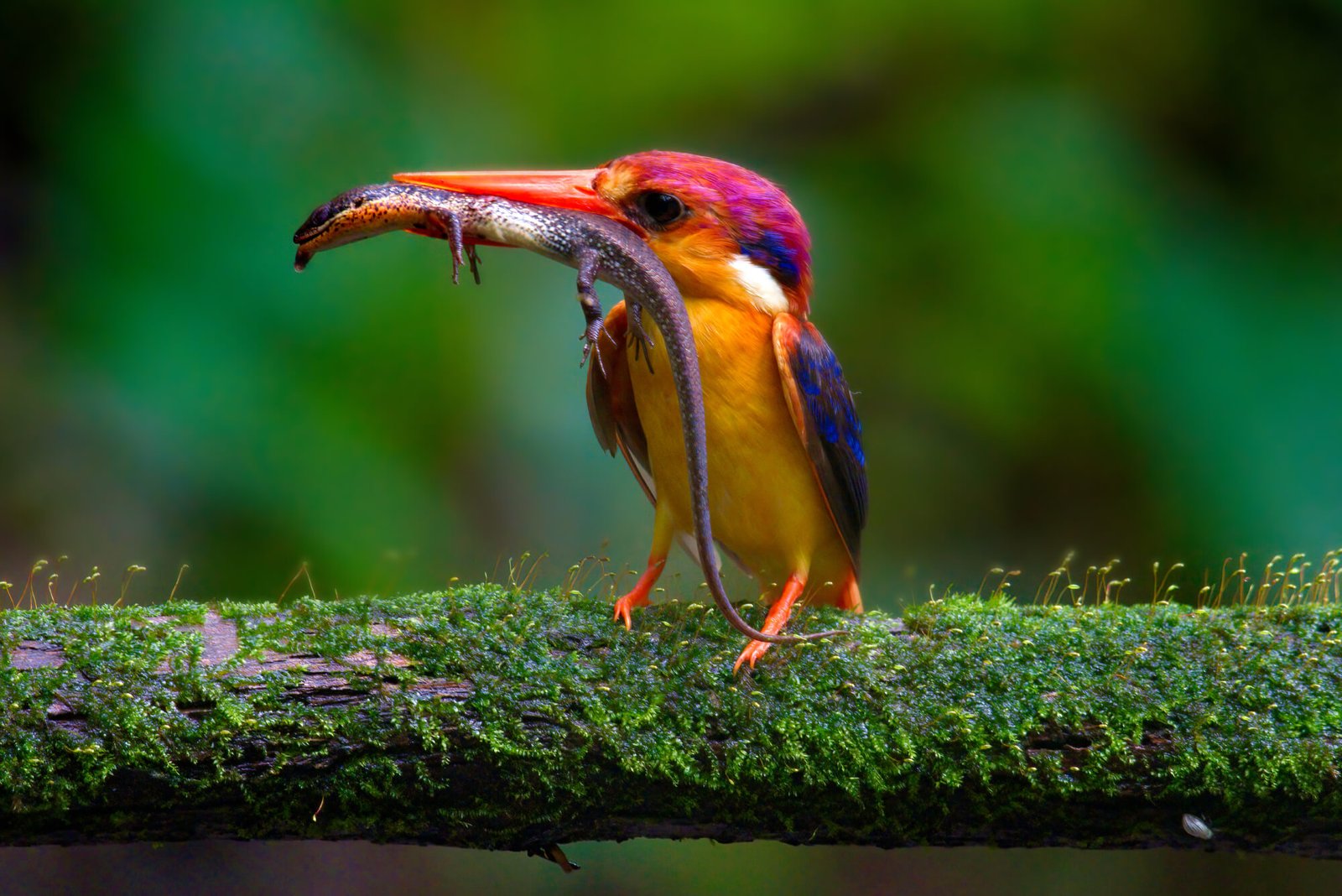 8N 9D Uttarakhand Hill Stations Tour