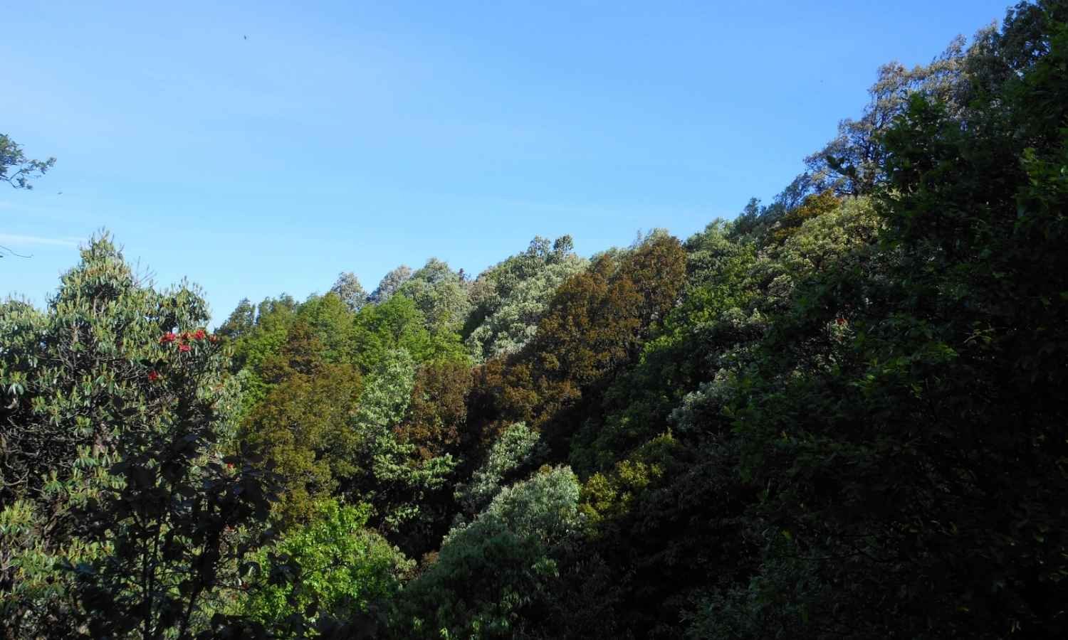 8N 9D Uttarakhand Hill Stations Tour