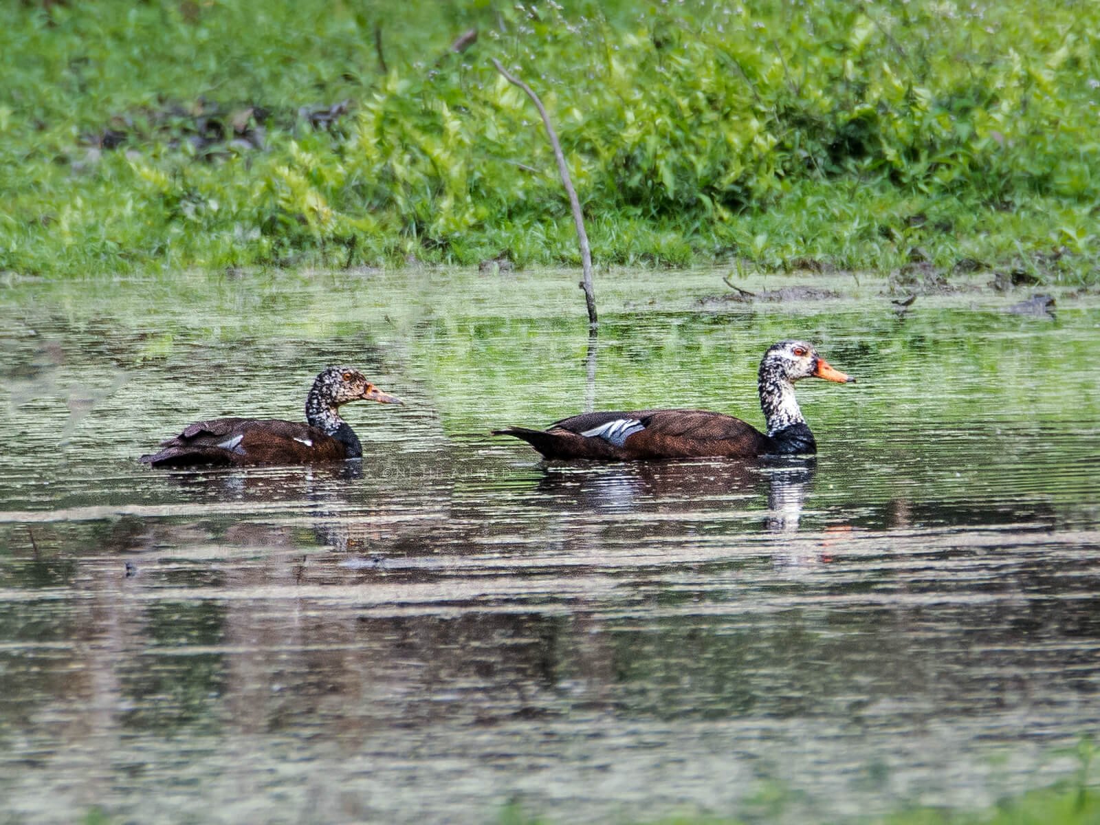 6N 7D Blissful North East Tour