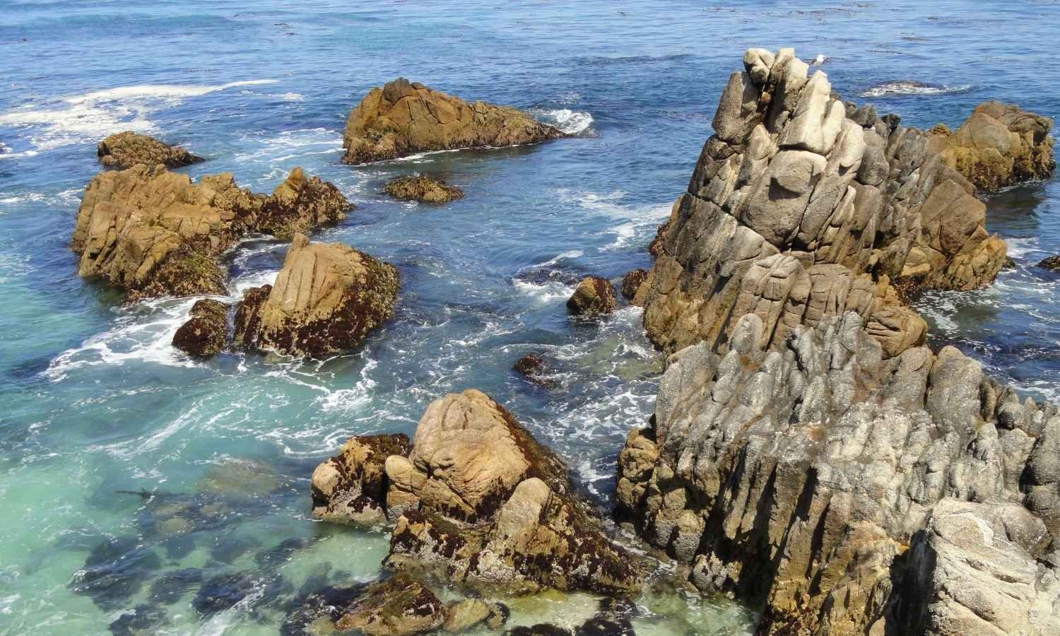 One-day Nainital Sightseeing Tour by Car