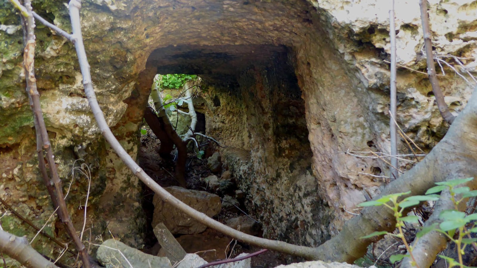 One-day Nainital Sightseeing Tour by Car