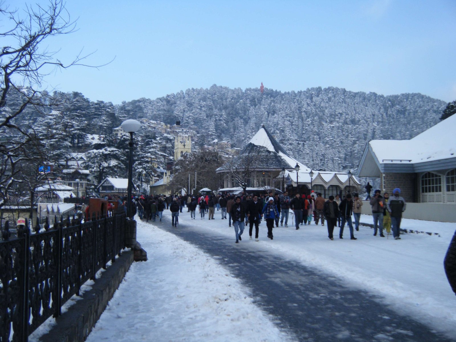 One-day Shimla Sightseeing Tour by Car