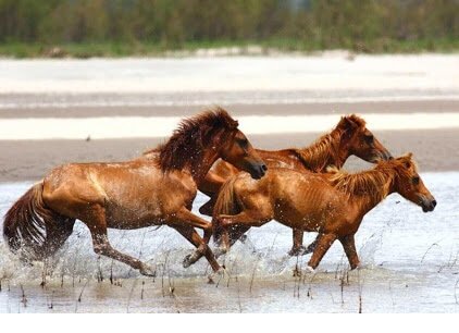 9N 10D Assam North East Tour