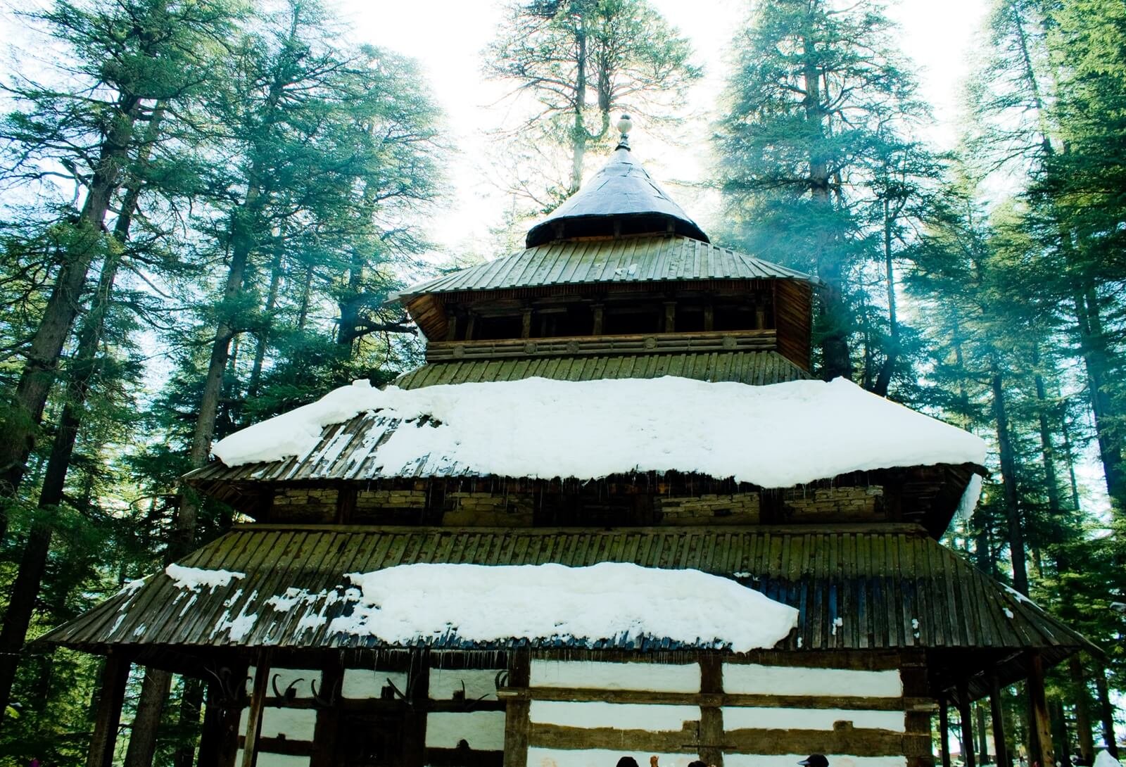 One-Day Manali Sightseeing Tour