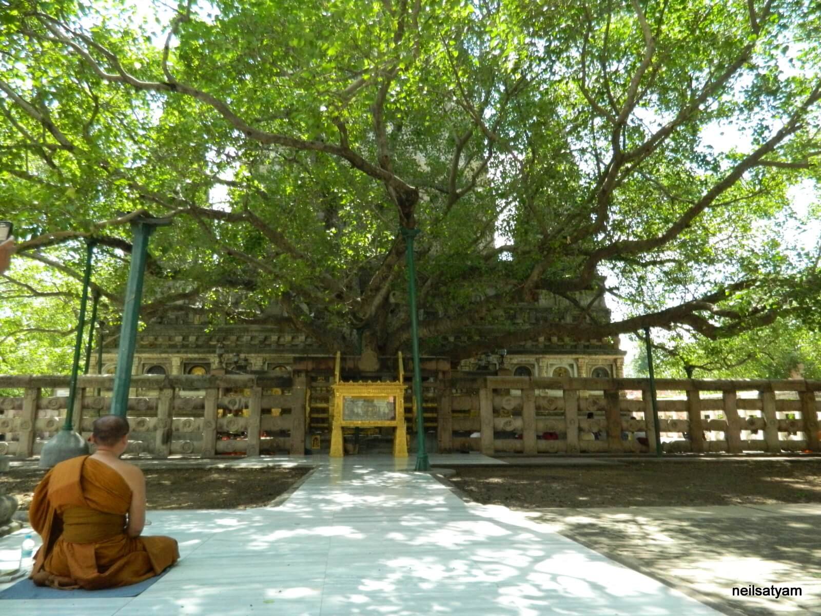 Bodh Gaya Full-Day Sightseeing Tour