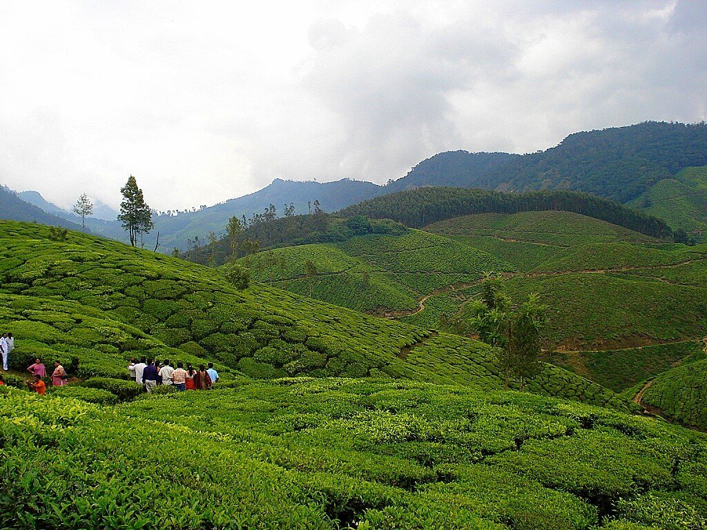 One Day Darjeeling Sightseeing Tour