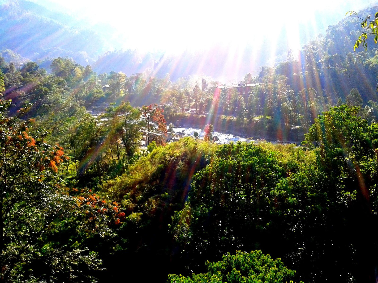 Full-Day Gangtok Sightseeing Tour by Car