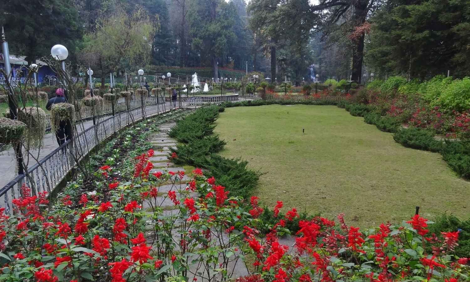 Full-Day Mussoorie Sightseeing Tour by Car