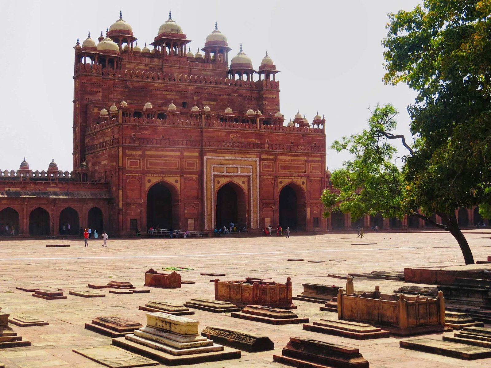 6N 7D Golden Triangle Tour