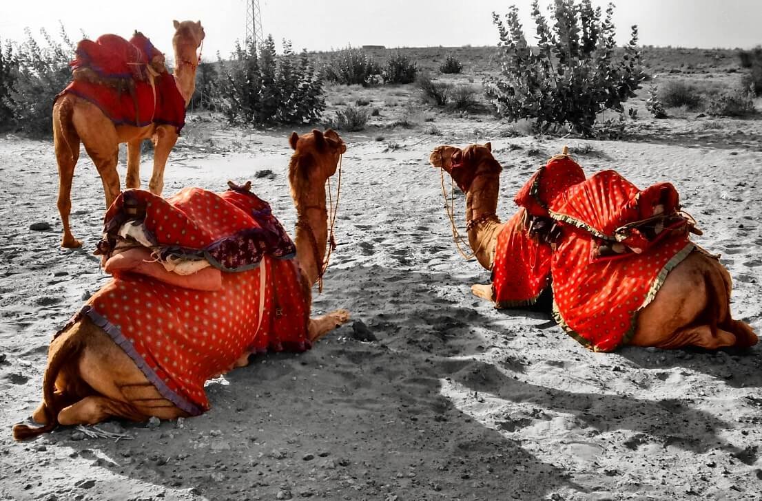 6N 7D Exotic Rajasthan Desert Tour Package