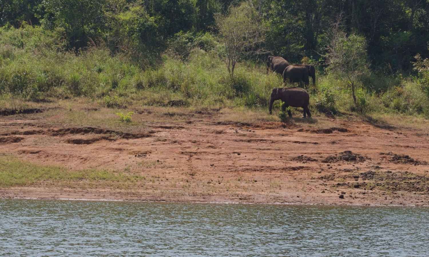 Romantic Kerala Tour