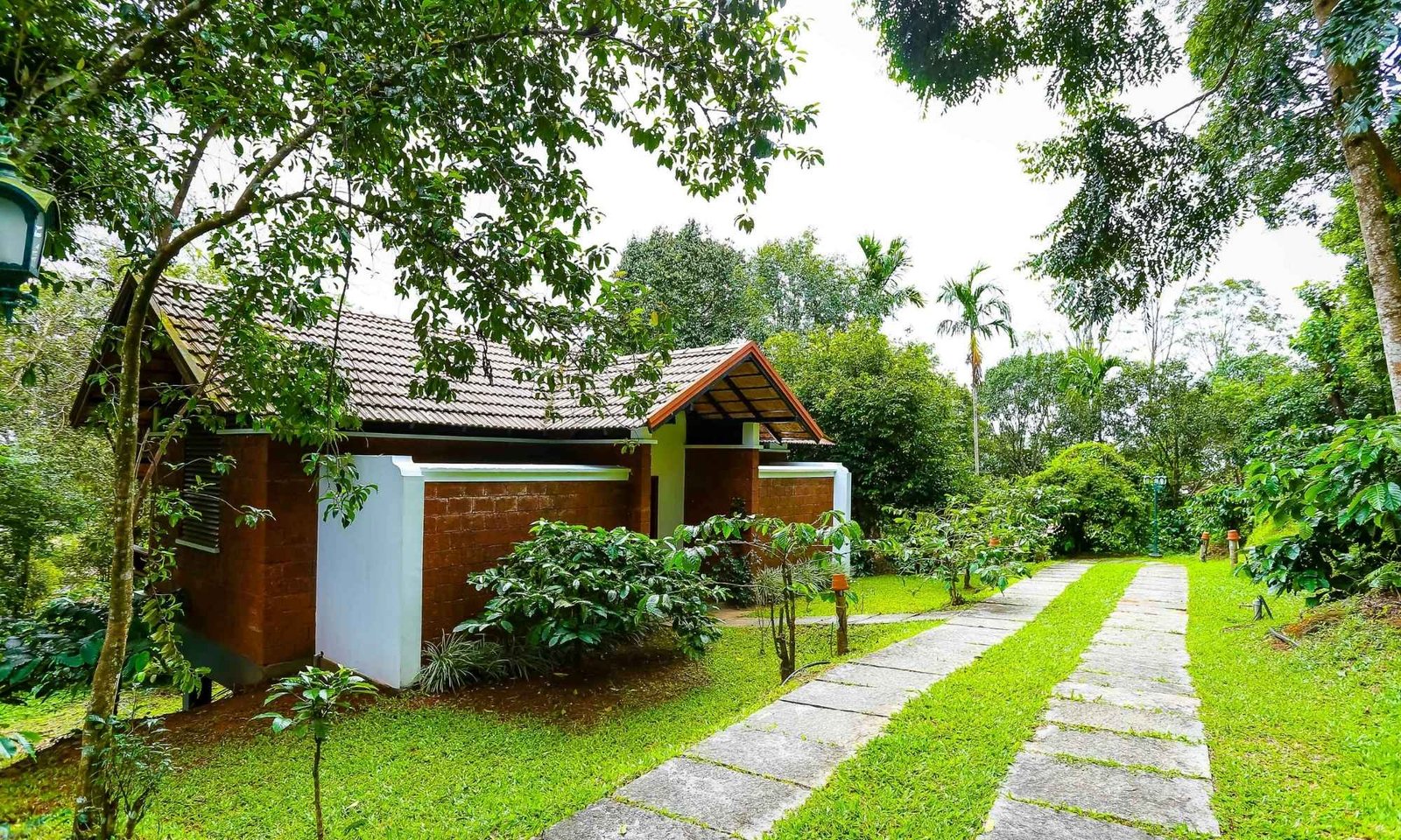 Refreshing Wayanad Honeymoon Tour