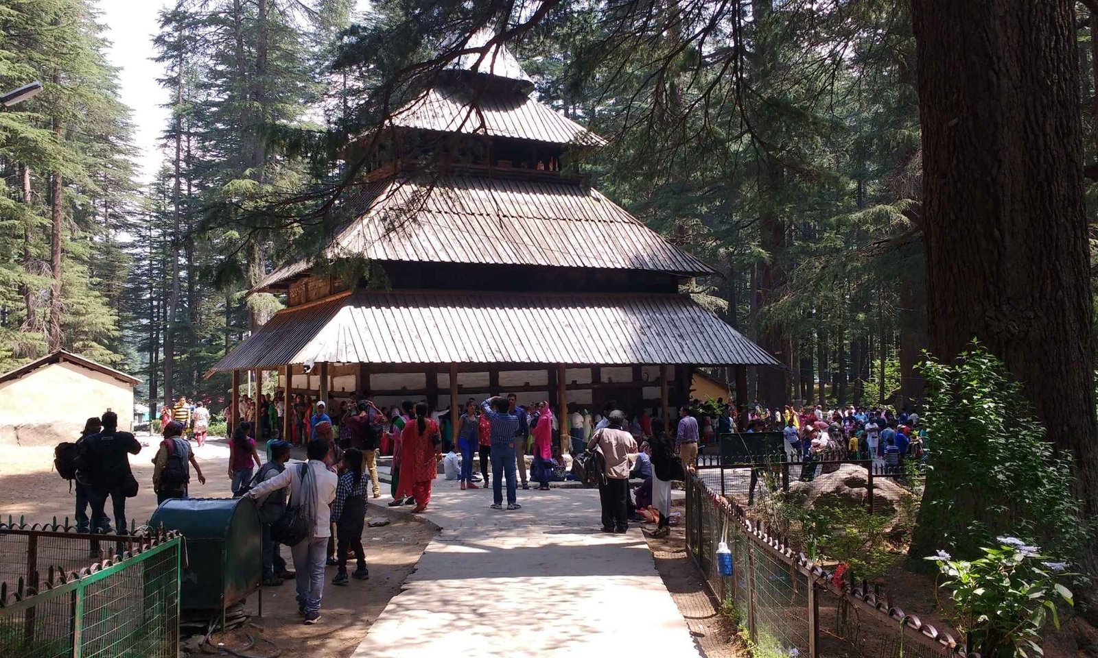 Magic Manali Honeymoon Tour