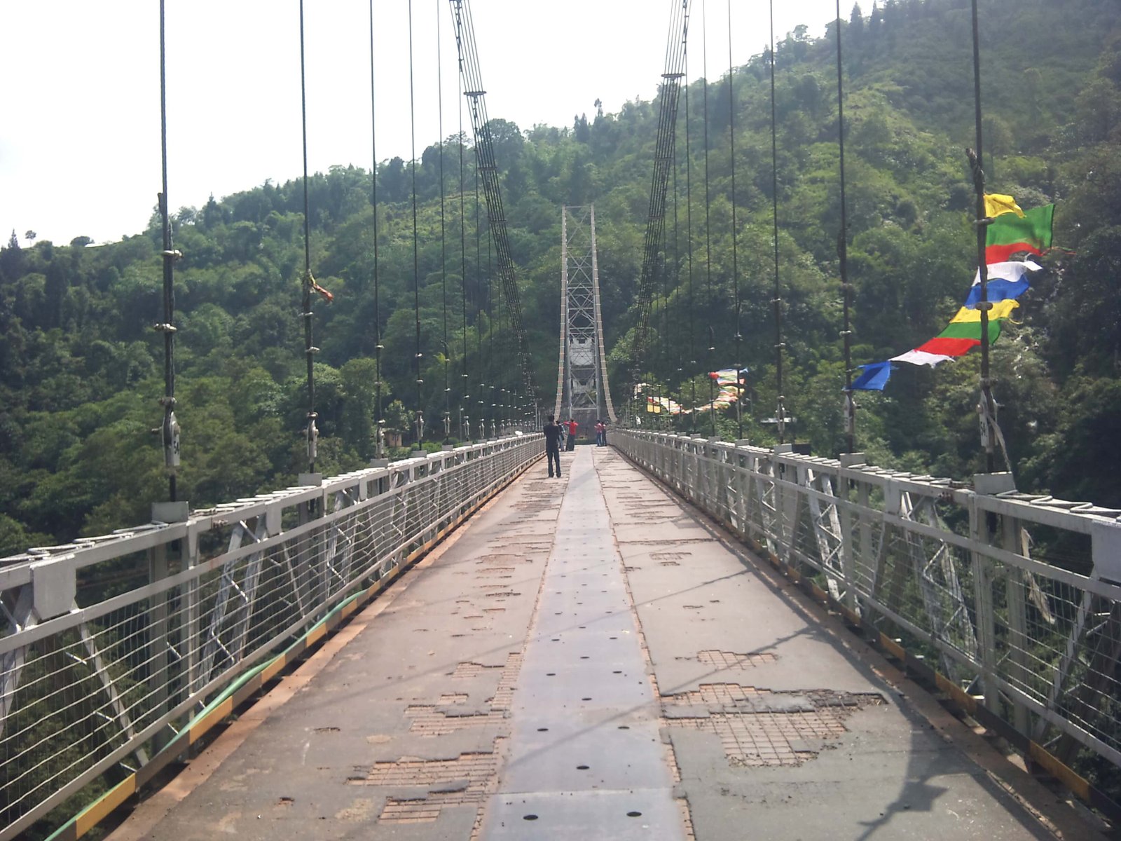 Fantastical Pelling Honeymoon Tour