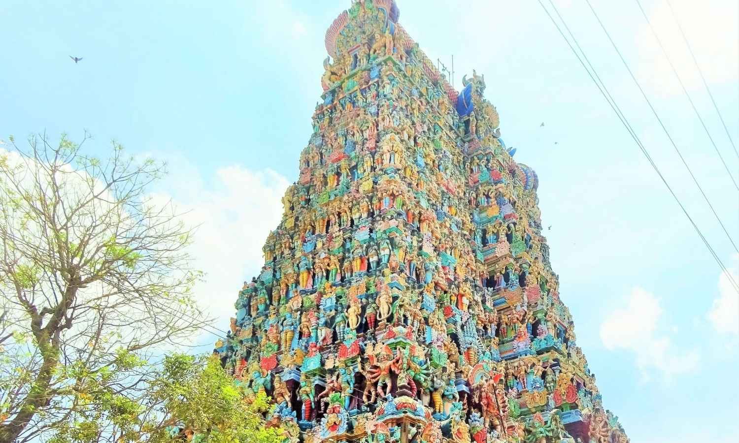 Kodaikanal Honeymoon Tour