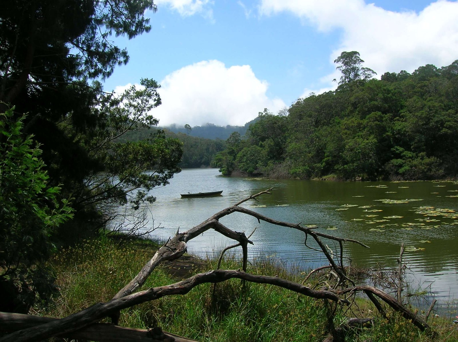 Kodaikanal Honeymoon Tour