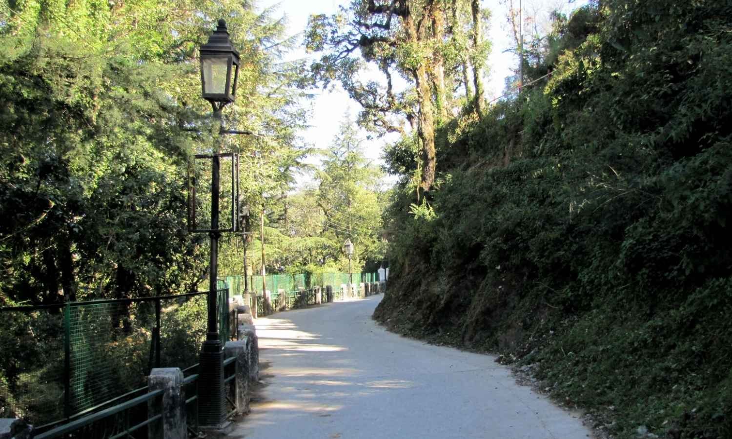 Mussoorie Honeymoon Tour