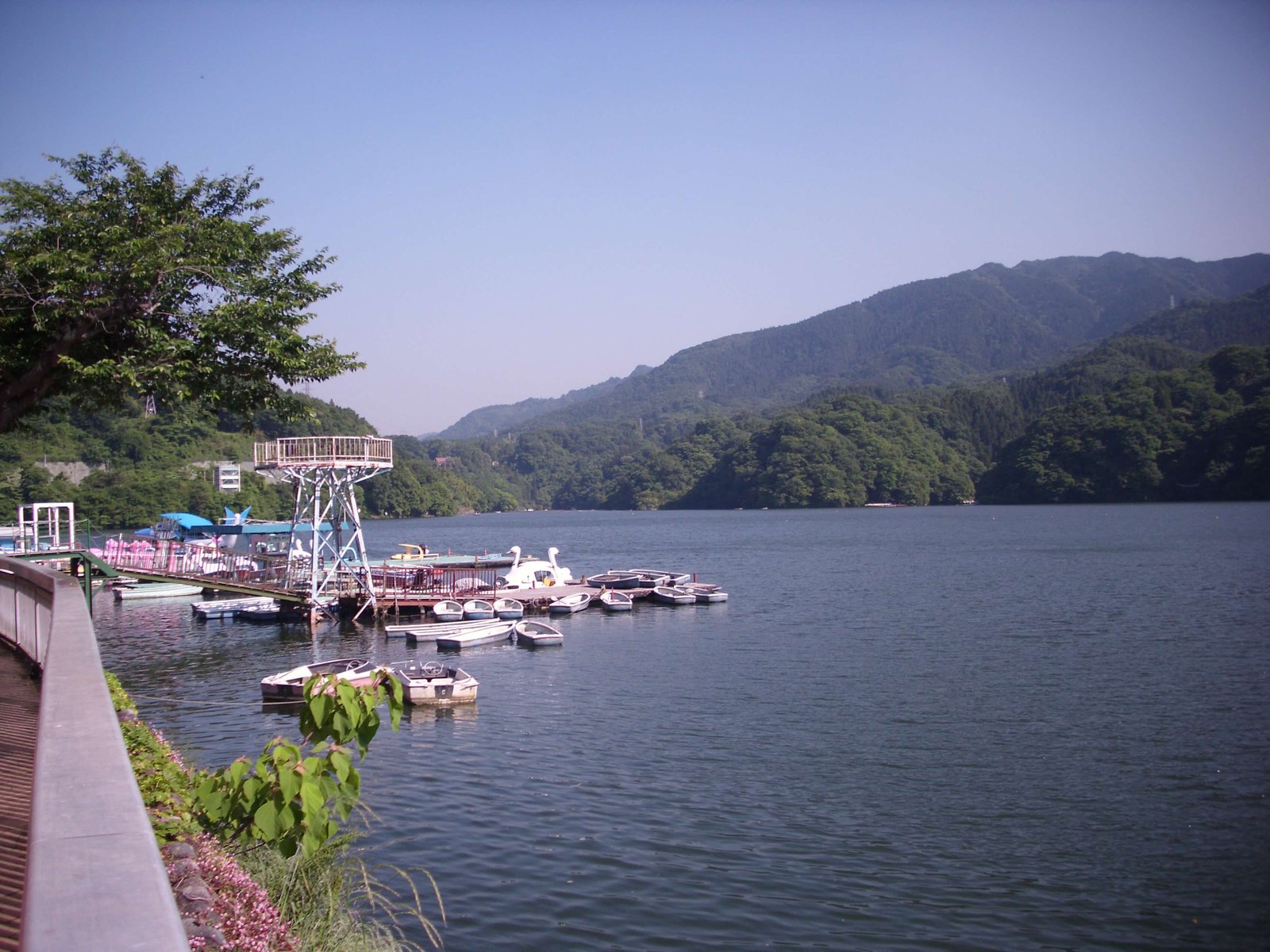 Exotic 3D Mussoorie Tour from Delhi