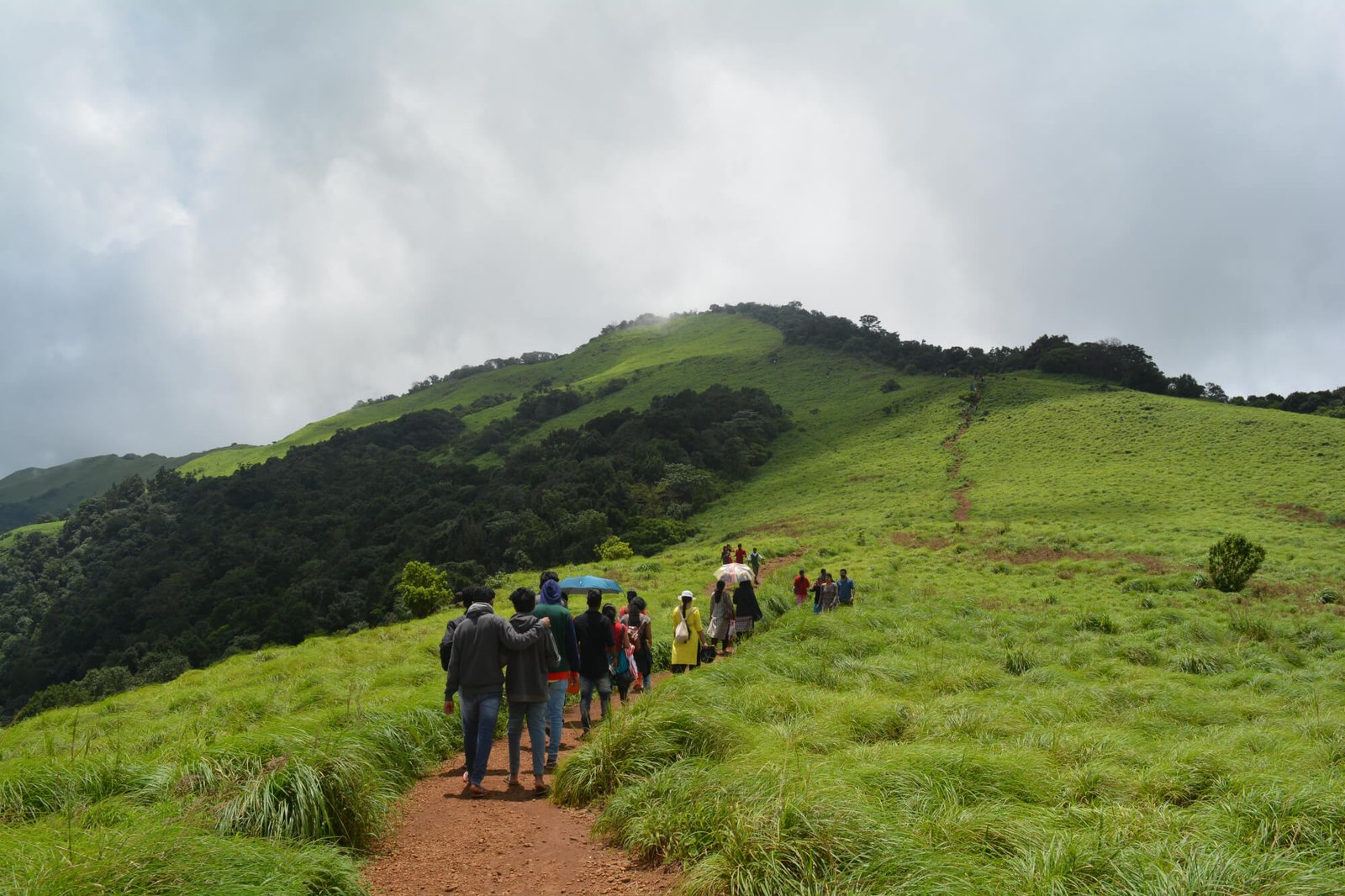 Chikmagalur Honeymoon Tour