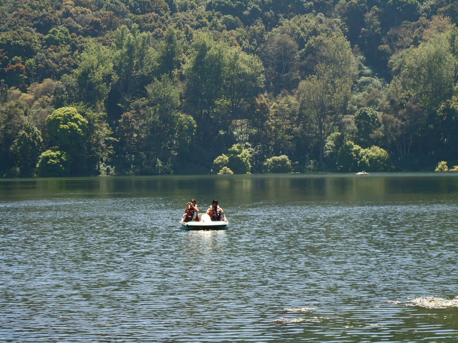 Munnar Honeymoon Tour