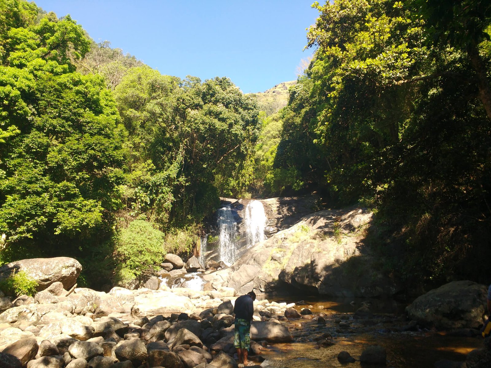 Munnar Honeymoon Tour
