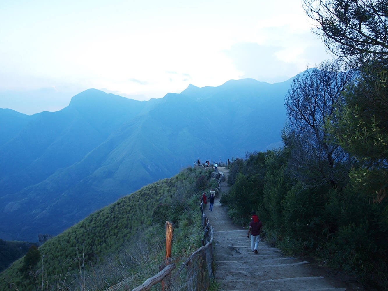 Munnar Honeymoon Tour