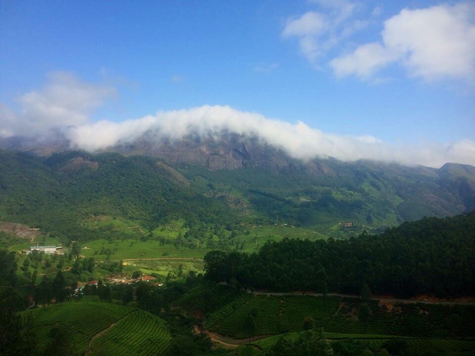 Munnar Honeymoon Tour