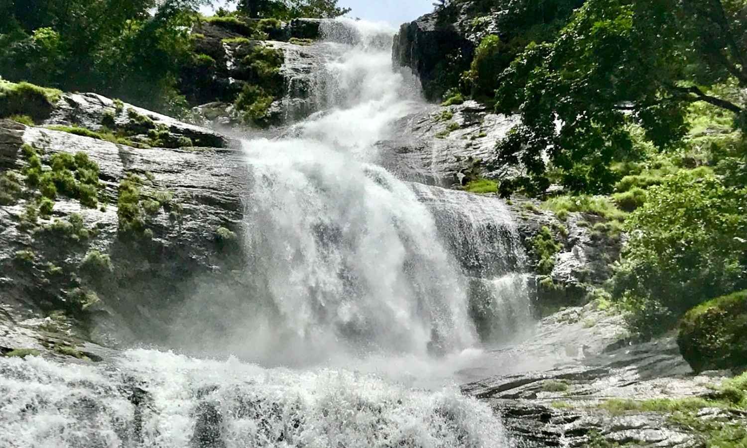 Munnar Thekkady Alleppey Honeymoon Tour