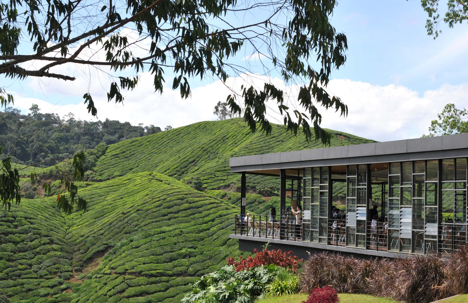 Ooty Coonoor Honeymoon Tour