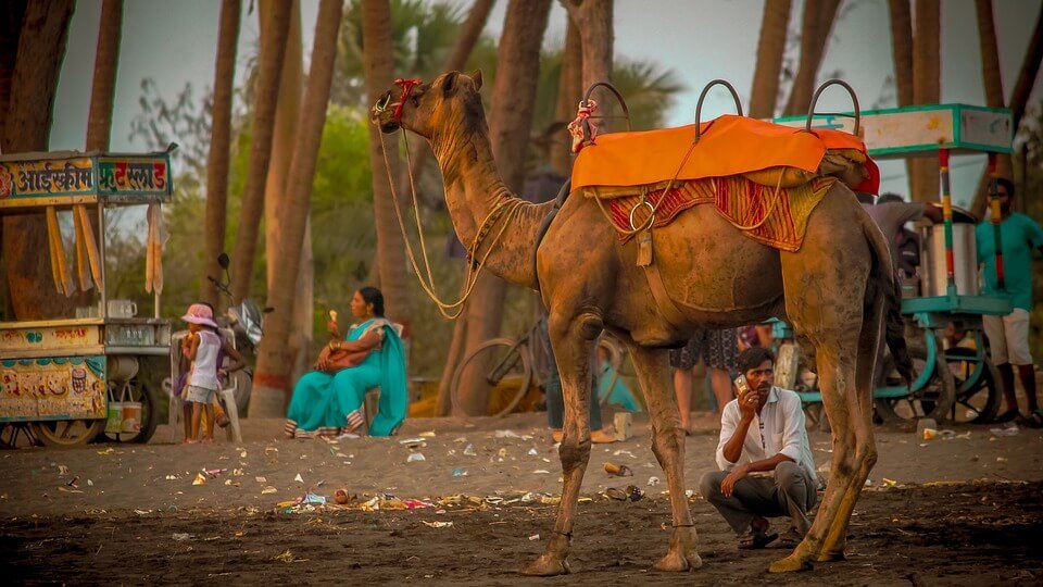 Jaipur Ajmer Honeymoon Tour